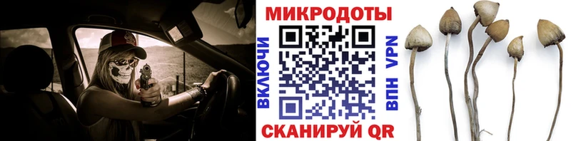 Галлюциногенные грибы мухоморы OMG ТОР Кадников
